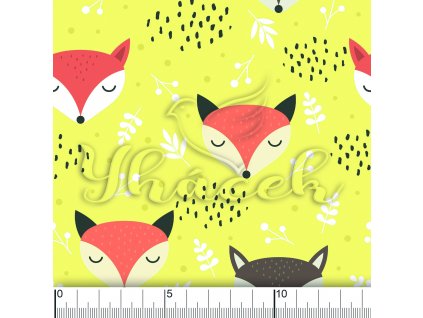 YH 2022 41 žlutá vod pravítko