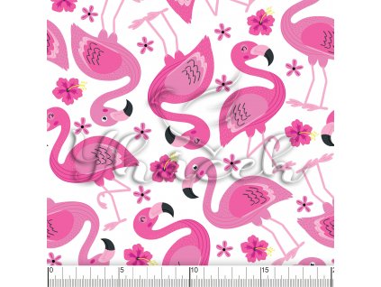 YH 2022 57 VOD pravitko