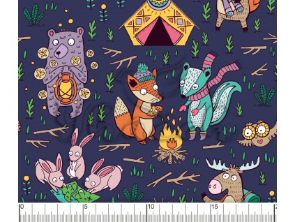 YH 2022 67 VOD pravitko