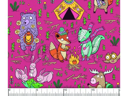 YH 2022 67 ruzova vod pravítko