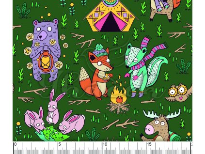 YH 2022 67 zelená vod pravítko