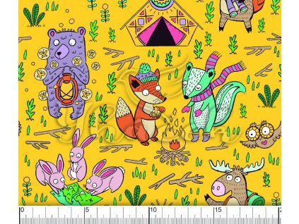 YH 2022 67 zluta vod pravítko