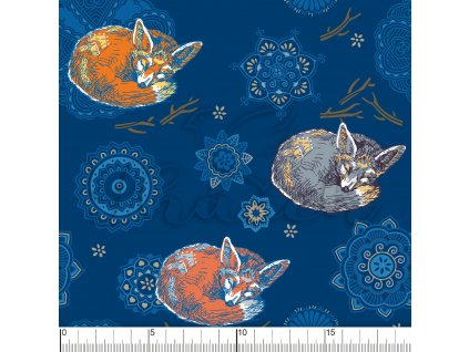 YH2021 7 modra vod pravítko