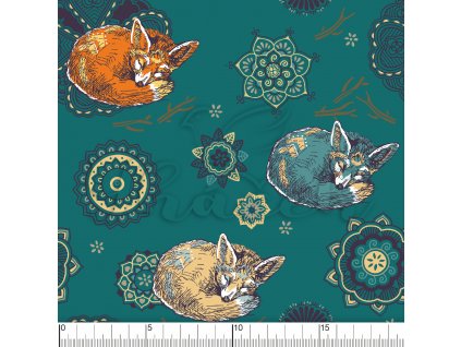 YH2021 7 petrolej vod pravítko