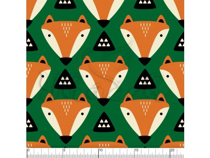 YH2021 29 zelená vod pravítko