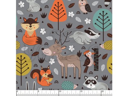 YH2021 31 šedá vod pravítko