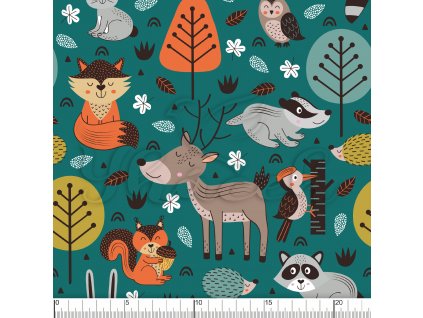 YH2021 31 petrolej vod pravítko