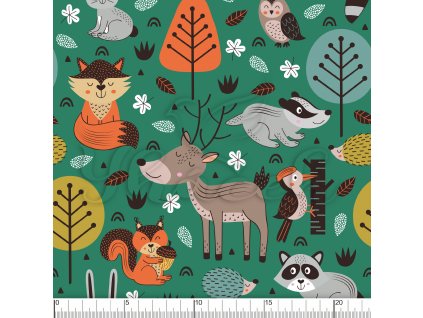 YH2021 31 zelená vod pravítko