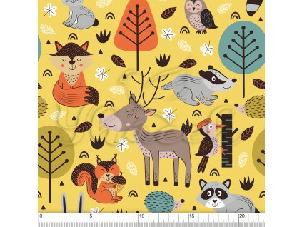 YH2021 31 žlutá vod pravítko