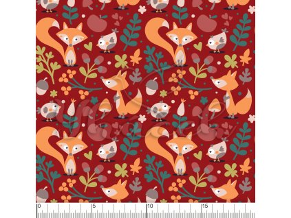 YH2021 66 červená vod pravítko