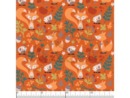 YH2021 66 oranžová vod pravítko