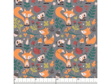 YH2021 66 šedá vod pravítko