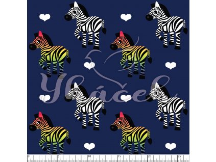 YH 2023 61 modr prav 01