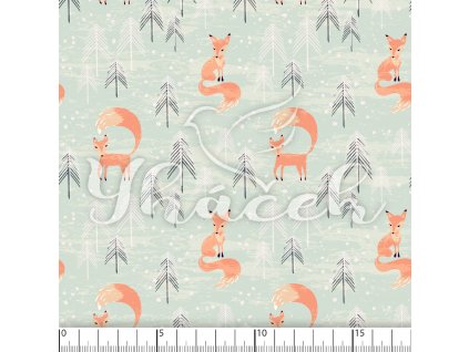 YH 2023 64 modr prav 01