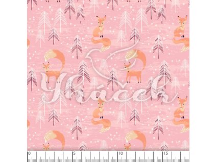 YH 2023 64 ruz prav 01