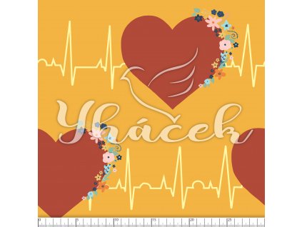 YH 2023 68 horc prav 01