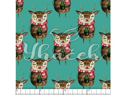 YH 2023 74 tyrk prav 01