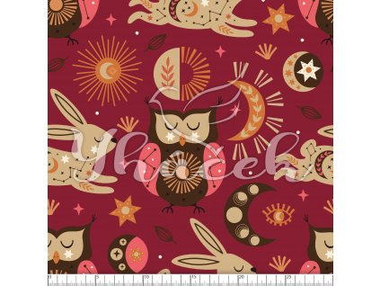 YH 2023 77 vin prav 01