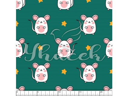 YH 2023 89 petr prav 01