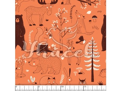 YH 2023 91 cihl prav 01