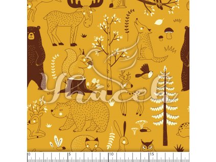 YH 2023 91 horc prav 01