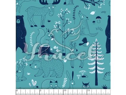 YH 2023 91 modr prav 01