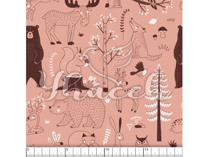 YH 2023 91 ruz prav 01