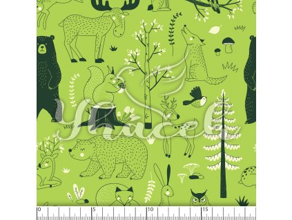 YH 2023 91 zel prav 01