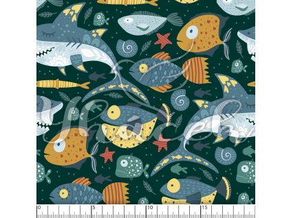 YH 2023 93 petr prav 01