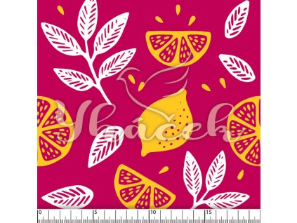 YH 2023 98 fuch prav 01