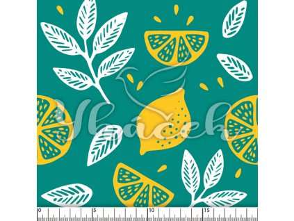 YH 2023 98 tyrk prav 01