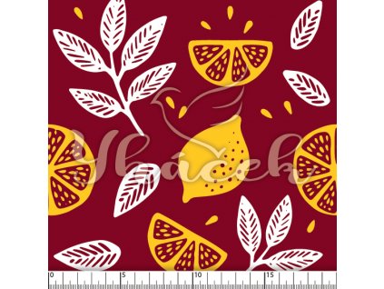 YH 2023 98 vin prav 01