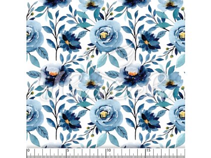 YH 2024 01 modr prav 01