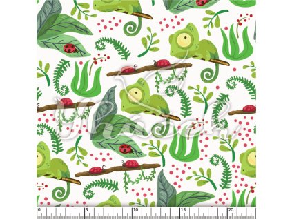 YH 2024 03 bil prav 01