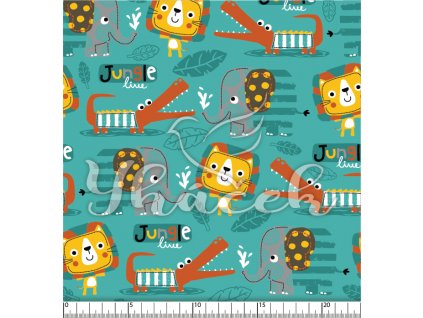 YH 2024 05 tyrk prav 01