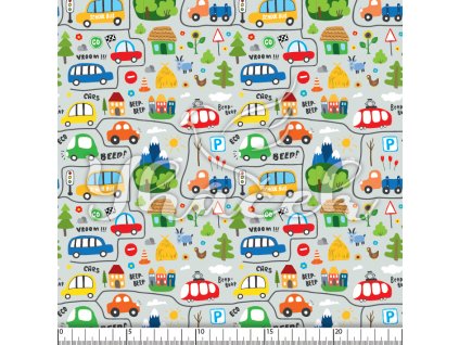 YH 2024 06 sed prav 01