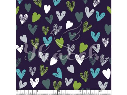 YH 2024 09 modr prav 01