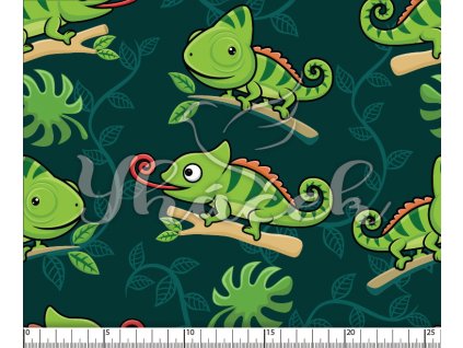 YH 2024 11 petr prav 01