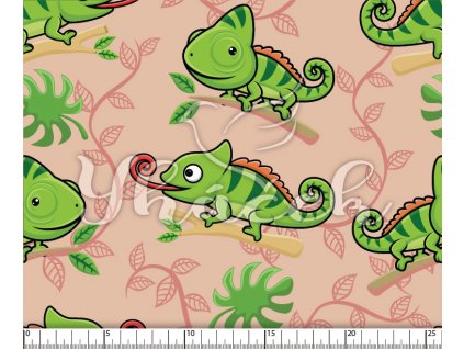 YH 2024 11 ruz prav 01