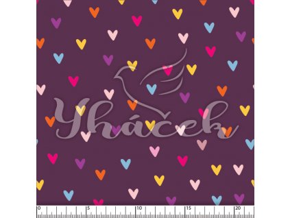 YH 2024 13 fial prav 01