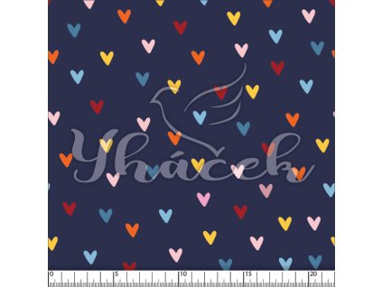 YH 2024 13 modr prav 01