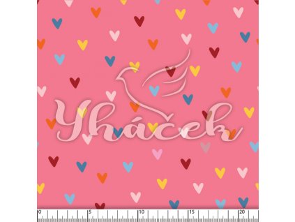 YH 2024 13 ruz prav 01