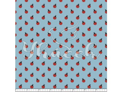 YH 2024 15 modr prav 01