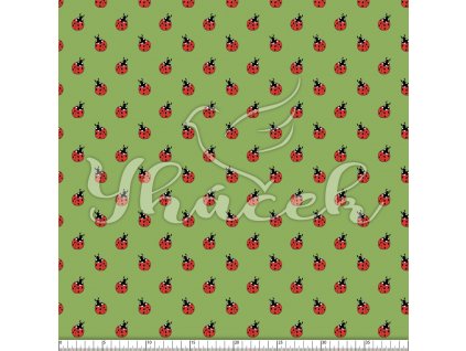 YH 2024 15 zel prav 01