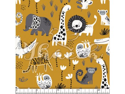 YH 2024 17 horc prav 01