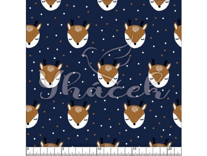 YH 2024 18 tm modr prav 01