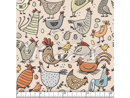 YH 2024 24 bez prav 01