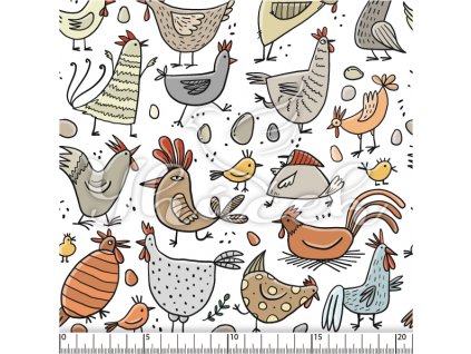 YH 2024 24 bil prav 01