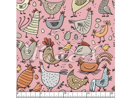 YH 2024 24 ruz prav 01