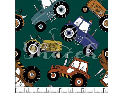 YH 2024 25 petr prav 01